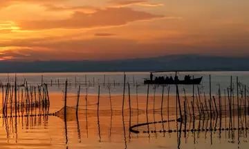 Desde el agua, los canales se abren paso entre la vegetación. El guía señala una barraca: allí empieza otra historia.