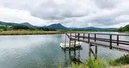 Las marismas de la Tejera Murueta en la provincia vasca de Vizcaya