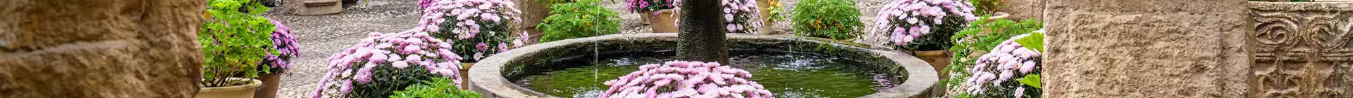 Fuente decorativa rodeada de varias plantas en los patios de Córdoba