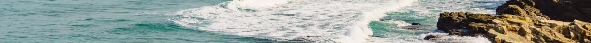 Descubre los planes más emblemáticos de la costa norte de España.